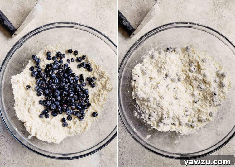 Side-by-side photos illustrating the process of adding blueberries to scone dough. On the left, a vibrant handful of fresh blueberries is carefully introduced into the mixing bowl. On the right, these blueberries have been gently coated in the flour mixture, ensuring even distribution before the wet ingredients are added.