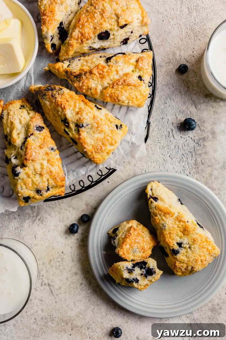 A beautifully composed image featuring two freshly baked buttermilk scones on a plate in the bottom right, with four more golden buttermilk scones arranged on a cooling rack covered in parchment paper in the top left, showcasing their inviting texture.