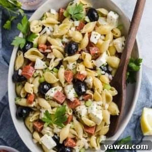 Pasta Salad with Homemade Italian Dressing