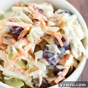 Close-up of the delicious Fancy Pants Coleslaw, ready to be served.