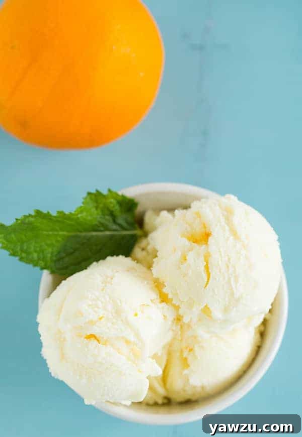Delicious Orange Frozen Yogurt in a bowl, garnished with orange slices