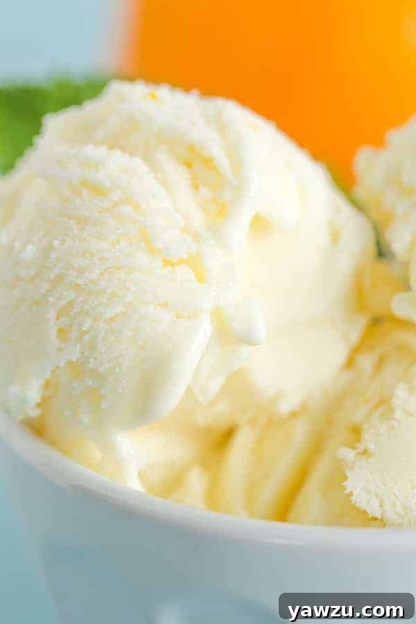 Scoops of Orange Frozen Yogurt in a glass bowl, ready to be served