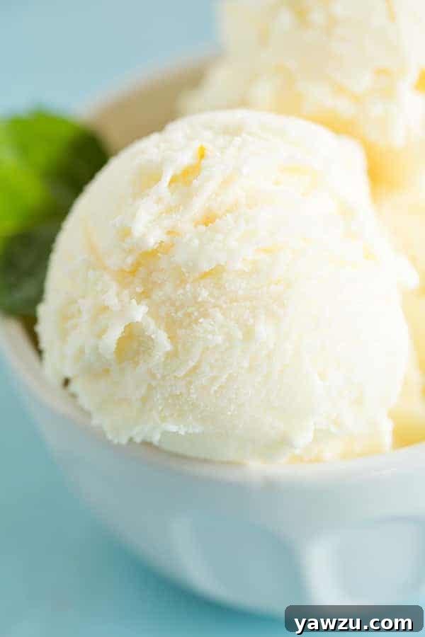 Another perspective of the Orange Frozen Yogurt, showcasing its vibrant color and smooth texture