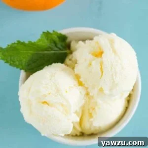 Orange Frozen Yogurt