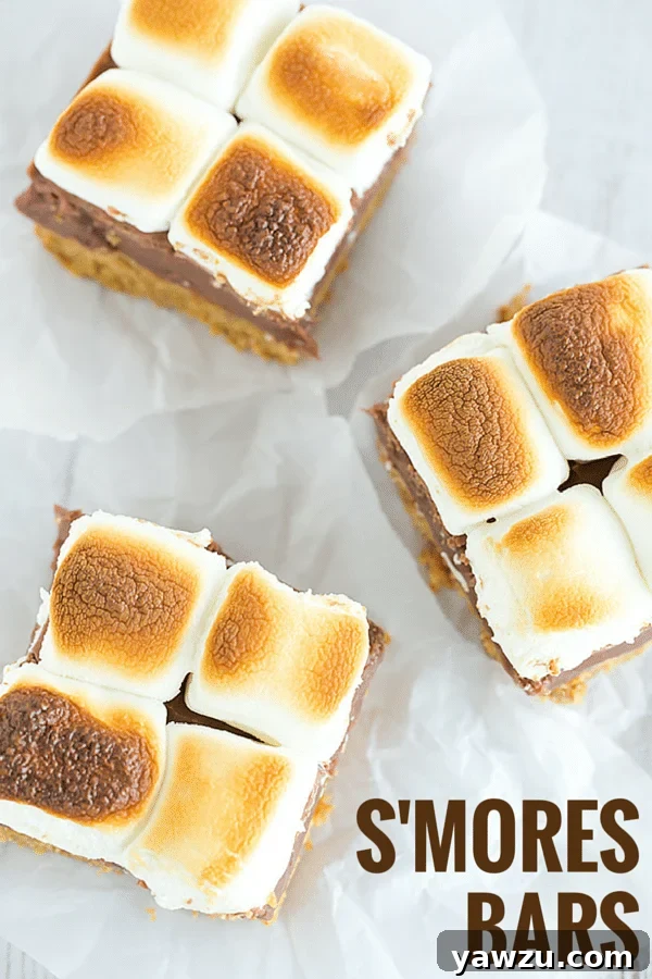 Close-up of golden toasted marshmallows on top of rich S'mores Bars