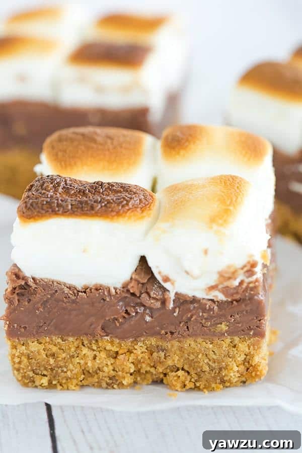 Freshly baked S'mores Bars ready to be sliced and served