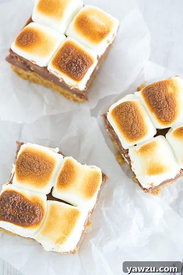 S'mores Bars cooling on a wire rack, showcasing the layers of crust, chocolate, and marshmallow