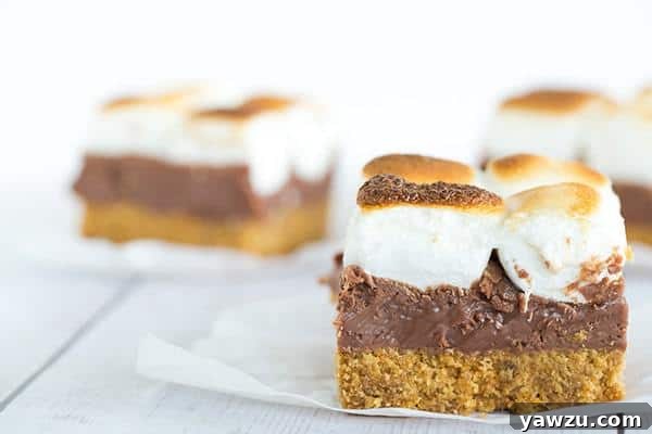 Stack of S'mores Bars showing the distinct layers