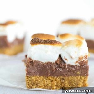 Finished S'mores Bars in a pan