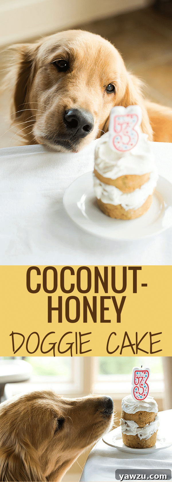 Delicious and easy coconut-honey dog birthday cake recipe