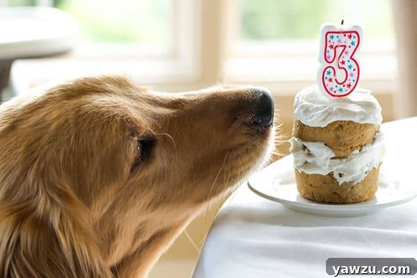 Simple four-ingredient coconut-honey dog cake, sliced and served on a rustic wooden board.