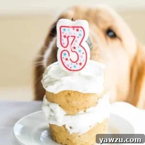 Coconut-Honey Doggie Cake, a perfect homemade dog treat.