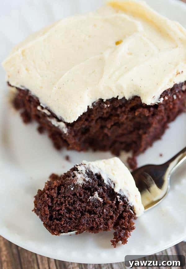 Wacky Cake! Chocolate cake with a simple vanilla frosting - the cake recipe, which uses no butter, eggs or milk, was popular during WWII when rationing was prevalent.