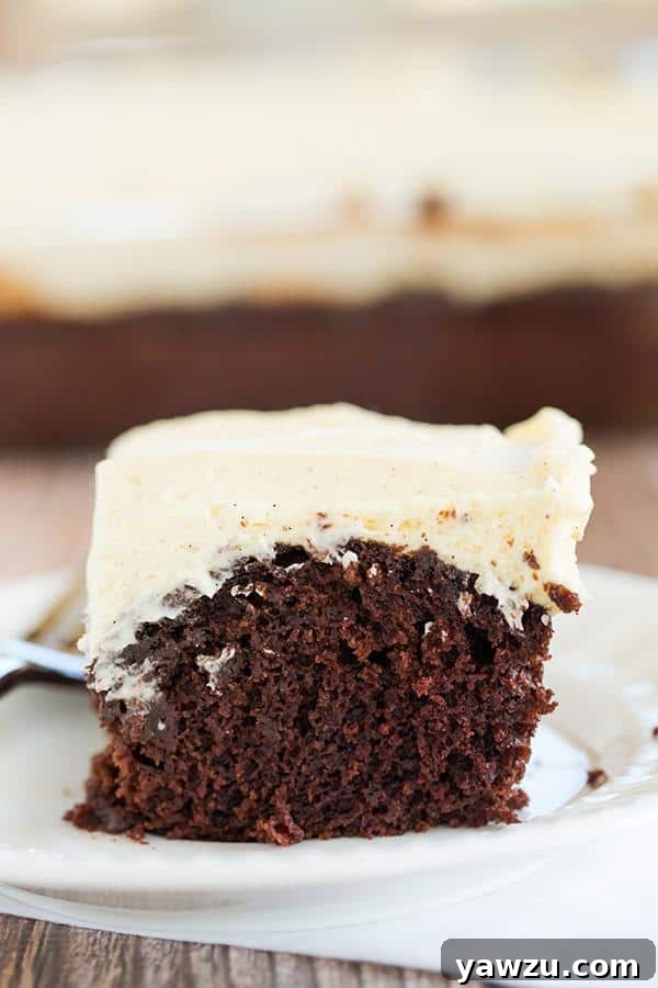 Wacky Cake! Chocolate cake with a simple vanilla frosting - the cake recipe, which uses no butter, eggs or milk, was popular during WWII when rationing was prevalent.