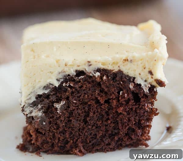 Wacky Cake! Chocolate cake with a simple vanilla frosting - the cake recipe, which uses no butter, eggs or milk, was popular during WWII when rationing was prevalent.