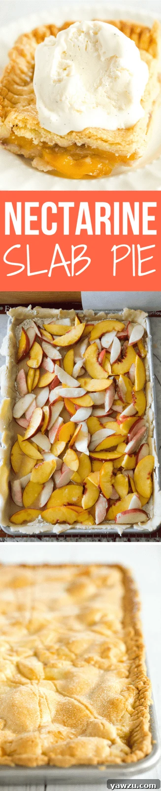 Nectarine Slab Pie - Homemade pie with a tender pastry crust and filled with both yellow and white nectarines. A summer must!
