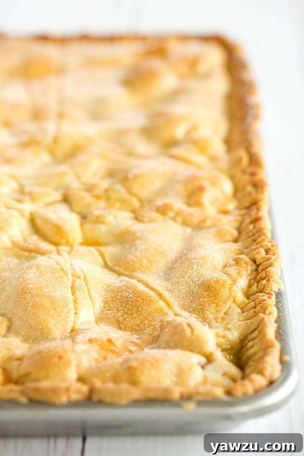 Nectarine Slab Pie - Homemade pie with a tender pastry crust and filled with both yellow and white nectarines. A summer must!