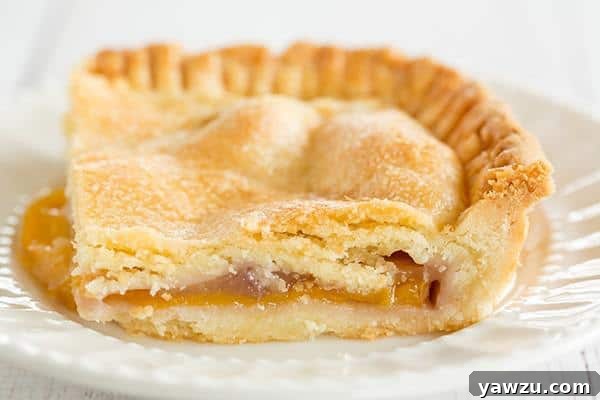 Nectarine Slab Pie - Homemade pie with a tender pastry crust and filled with both yellow and white nectarines. A summer must!