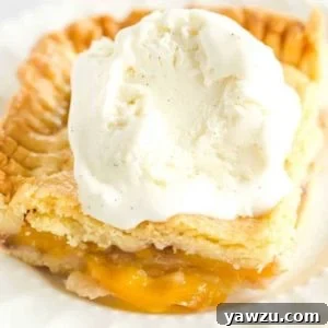 Nectarine and Honey Slab Pie