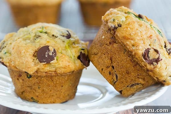 Close-up of a warm zucchini chocolate chip muffin, ready to eat