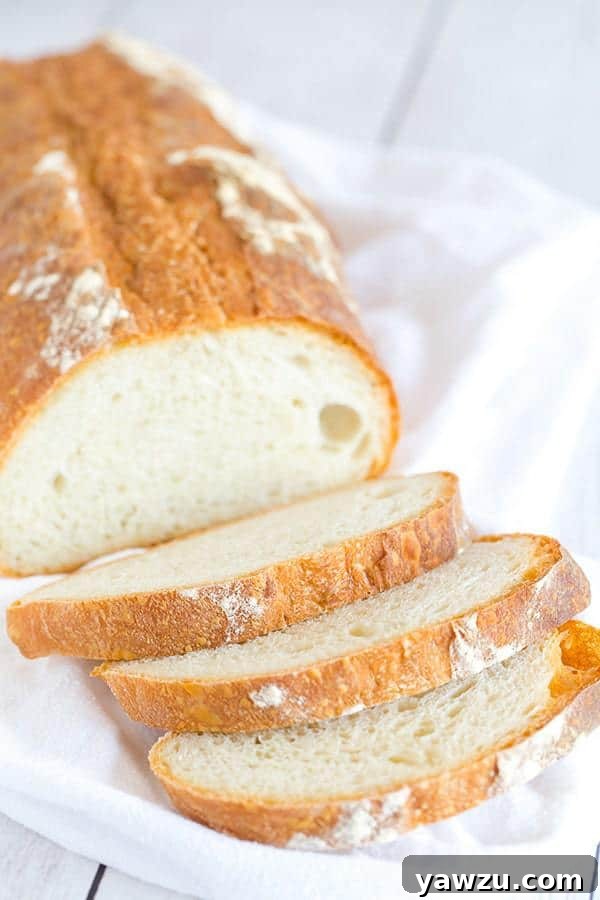 An overnight sponge (pre-ferment) in a bowl, actively fermenting for enhanced bread flavor.