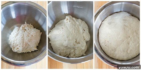 The process of kneading and shaping dough for rustic Italian bread on a floured surface.