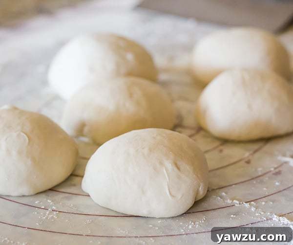 Neapolitan pizza dough balls rising