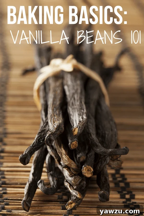Baking Basics: Vanilla Beans 101 - Everything you need to know about the different types of vanilla beans and the best way to make your own vanilla extract!
