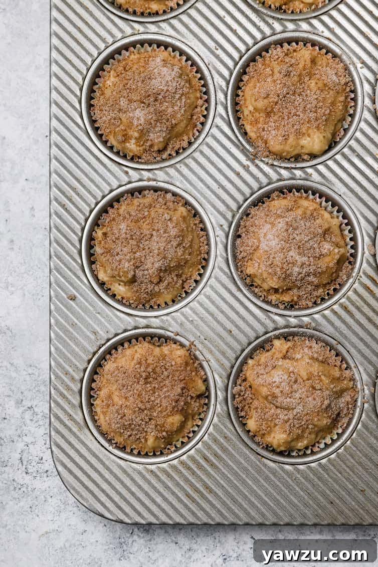 Apple muffin batter topped with cinnamon-sugar before baking.