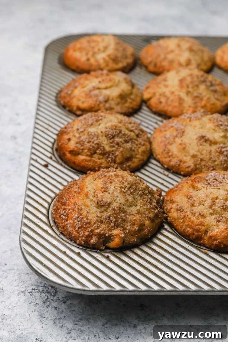 Baked apple muffins still in pan.