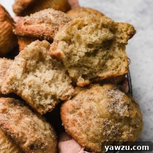 Apple muffins with cinnamon-sugar topping