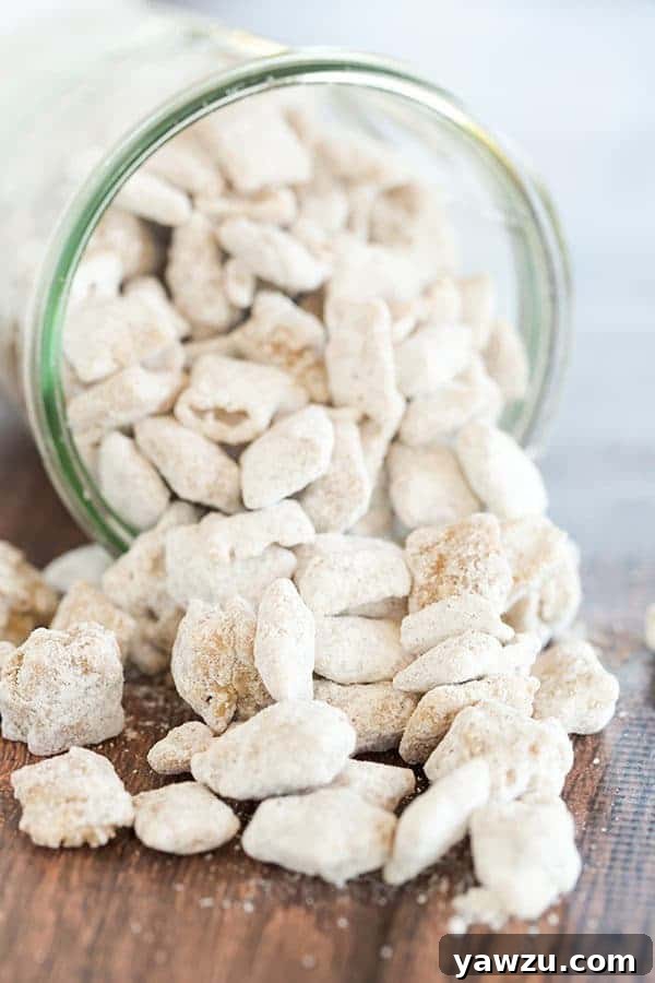 Delicious Snickerdoodle Muddy Buddies, a crunchy snack coated in cinnamon sugar, ready to be enjoyed.