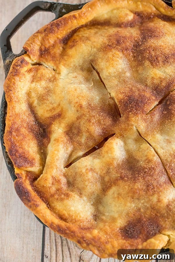 This skillet apple pie is a quick and easy dessert recipe, and it's toffee-like sauce will melt your heart.