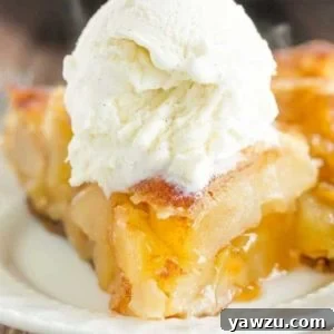 Delicious Skillet Apple Pie