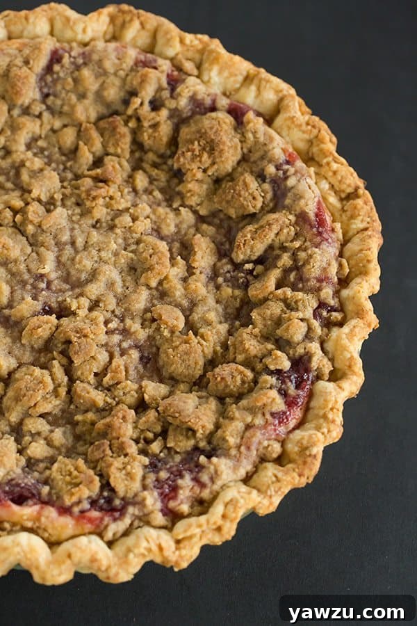 Close-up of the crumb topping and cranberry layer of the baked Cranberry Cheesecake Crumb Pie, showing the golden brown streusel and glistening red cranberries.