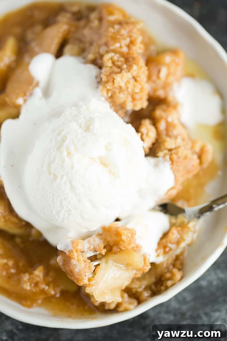 A plateful of apple crisp with vanilla ice cream on top.