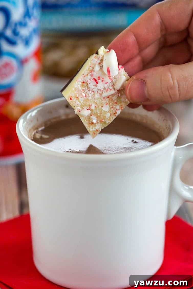 A second perspective of the Peppermint Bark Hot Chocolate, showing the steam rising from the mug and a piece of peppermint bark gently melting into the rich chocolate drink.