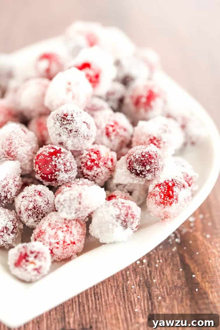 Sparkling Sugared Cranberries - an easy and festive garnish for holiday desserts and cocktails