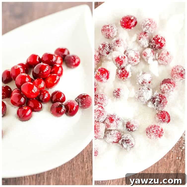 Bowl of sugared cranberries ready to be used as garnish