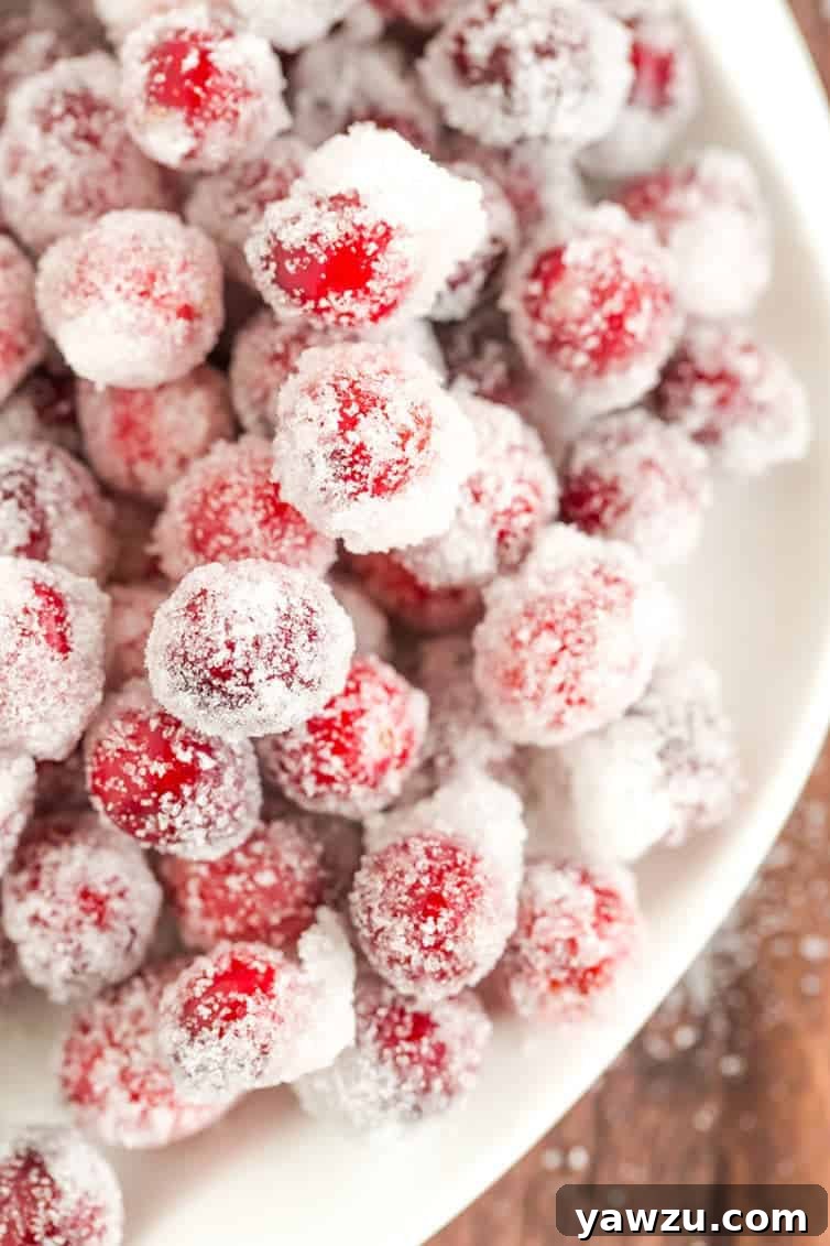 Four images of sugared cranberries being prepared and served