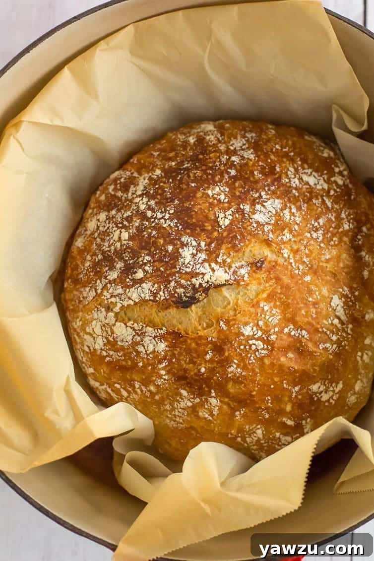 Freshly baked no-knead bread with a crispy crust, perfect for beginner bakers.