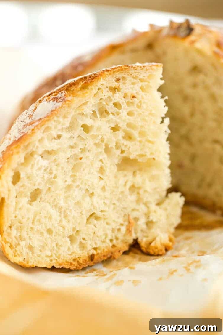 No-knead bread dough in a bowl after the initial long rise, showing small bubbles on the surface.