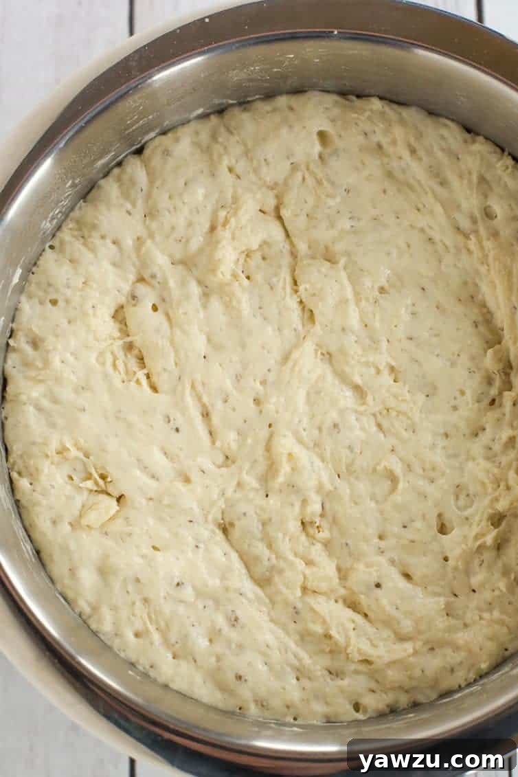 Close-up of fully proofed no-knead bread dough, covered in small fermentation bubbles.