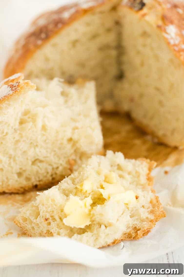 A freshly sliced loaf of no-knead bread, revealing its airy, open crumb and crispy crust.