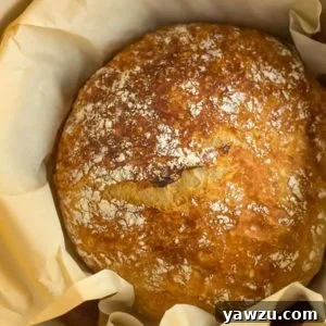 No Knead Bread - This classic recipe from Jim Lahey is easy, requires minimal handling, and is a great recipe for beginner bread bakers.