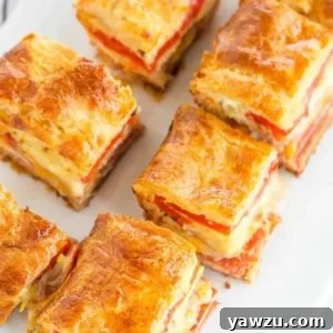 Antipasto Appetizer Squares