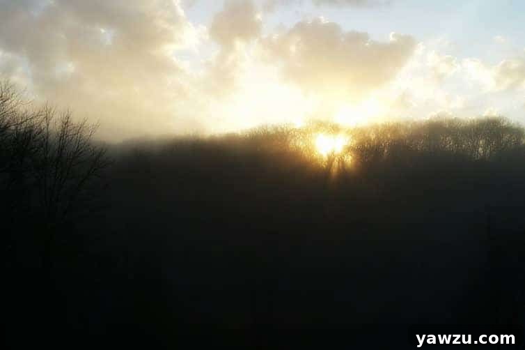 Future of blogging, community, and family for Brown Eyed Baker