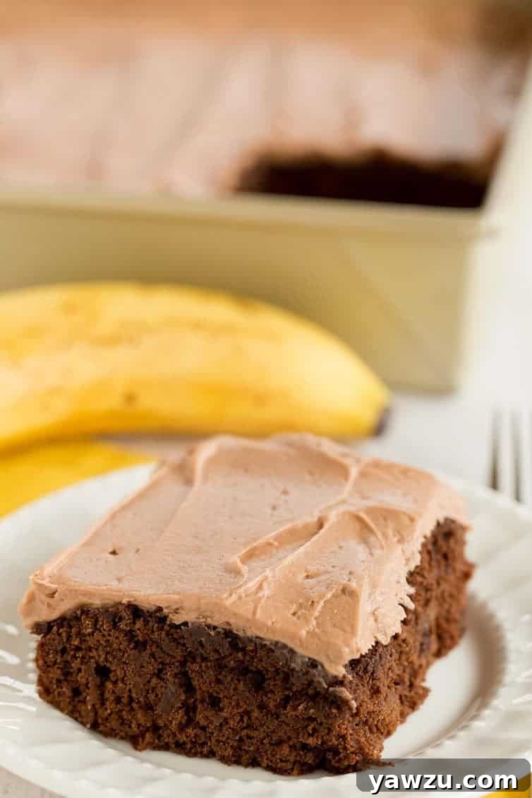 Delicious and easy-to-make Chocolate Banana Cake, featuring an incredibly moist texture, intense banana flavor, and a decadent chocolate cream cheese frosting.
