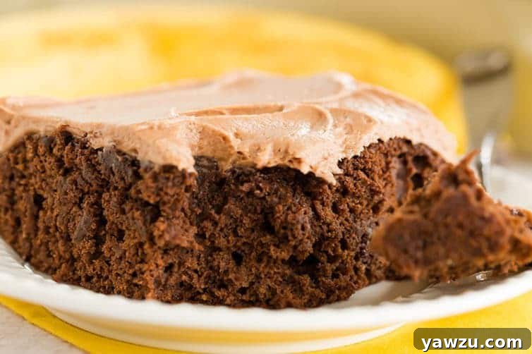 A beautifully frosted Chocolate Banana Cake, showcasing the rich chocolate cream cheese frosting and the comforting appeal of a homemade dessert.