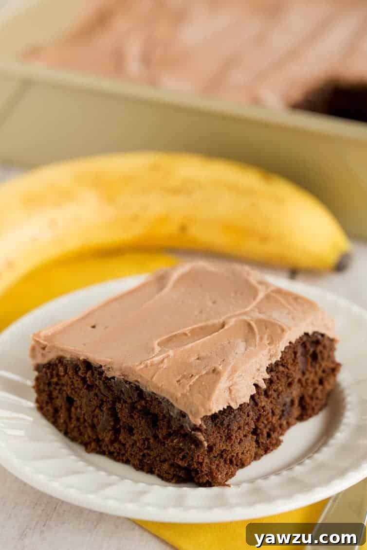 A vibrant overhead shot of the finished Chocolate Banana Cake, generously topped with chocolate cream cheese frosting, ready to be sliced and enjoyed.